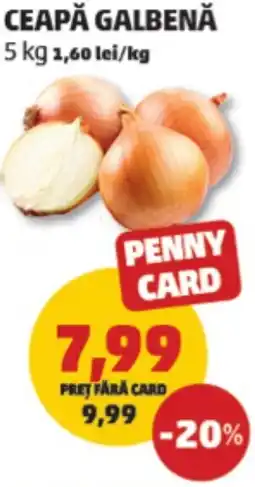 Penny Ceapă galbenă Ofertă