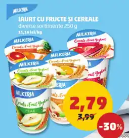 Penny Iaurt cu fructe şi cereale Ofertă