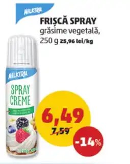 Penny MILKERIA Frişcă spray grăsime vegetală Ofertă