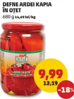 Penny Defne ardei kapia in otet Ofertă