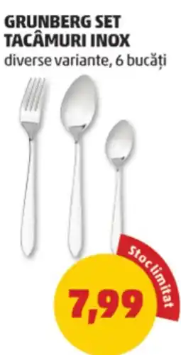 Penny Grunberg set tacâmuri inox Ofertă