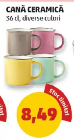 Penny Cană ceramică Ofertă
