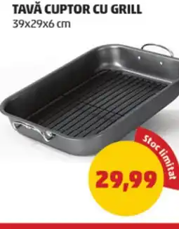 Penny Tavă cuptor cu grill Ofertă