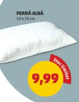 Penny Pernă albă Ofertă