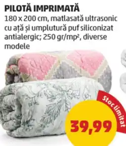 Penny Pilotă imprimată Ofertă