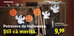 Lidl LIVARNO HOME Decorațiuni Halloween Ofertă