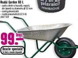 Hornbach Roabǎ Garden Ofertă