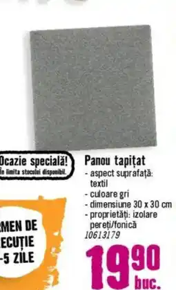 Hornbach Panou tapitat Ofertă