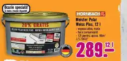 Hornbach Meister Polar Weiss Plus Ofertă