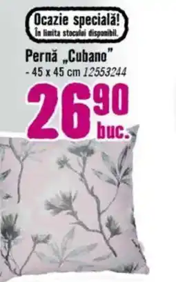 Hornbach Pernă „Cubano” Ofertă