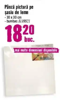 Hornbach Pânză pictură pe şasiu de lemn Ofertă