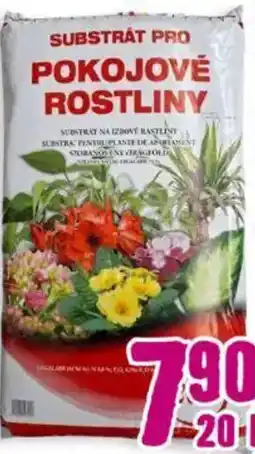 Hornbach Substrat plante de interior Ofertă
