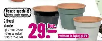 Hornbach Ghiveci plante Ofertă