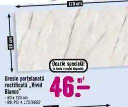 Hornbach Gresie porţelanată rectificată „Vivid Bianco" Ofertă