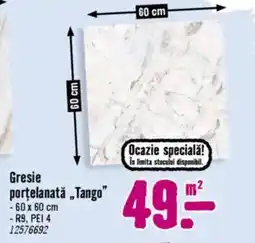 Hornbach Gresie porţelanatǎ „Tango" Ofertă