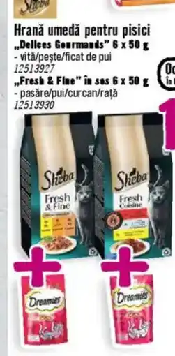 Hornbach Hrană umedă pentru pisici ,,Delices Gourmands" Ofertă