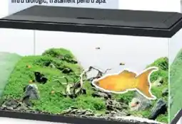 Hornbach Set acvariu „Aqua 60", cu biofiltru, Ciano Ofertă