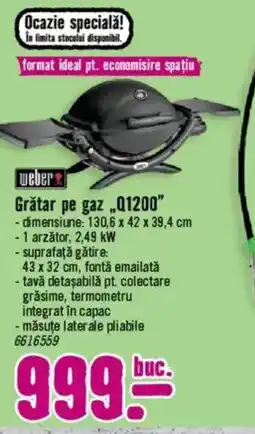 Hornbach Grătar pe gaz „Q1200" Ofertă