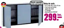 Hornbach Dulap de scule Ofertă