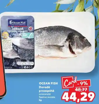Kaufland OCEAN FISH Doradǎ proaspătă Ofertă