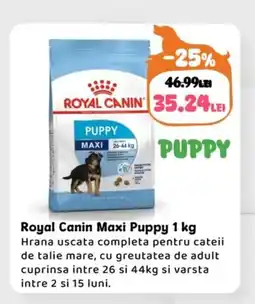 Animax Royal Canin Maxi Puppy Ofertă