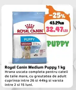 Animax Royal Canin Medium Puppy Ofertă