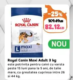 Animax Royal Canin Maxi Adult Ofertă