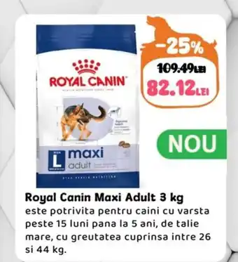 Animax Royal Canin Maxi Adult Ofertă