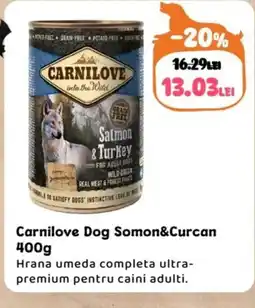 Animax Carnilove Dog Somon&Curcan Ofertă