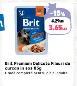 Animax Brit Premium Delicate Fileuri de curcan in sos Ofertă