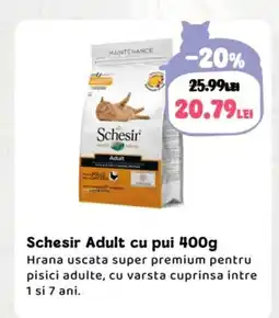 Animax Schesir Adult cu pui Ofertă