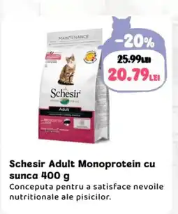 Animax Schesir Adult Monoprotein cu sunca Ofertă