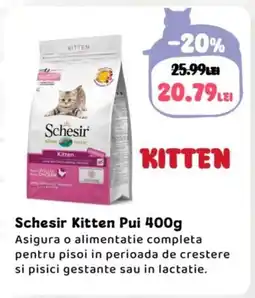 Animax Schesir Kitten Pui Ofertă