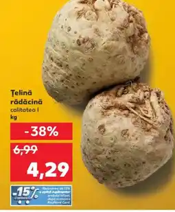 Kaufland Ţelină rădăcină Ofertă