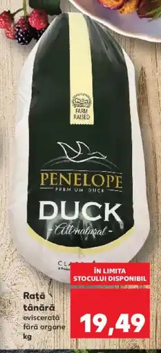 Kaufland Raţă tânără Ofertă