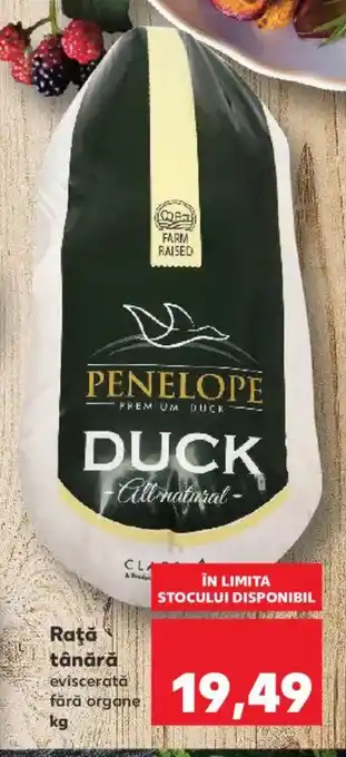 Kaufland Raţă tânără Ofertă