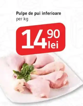 Pulpe de pui inferioare