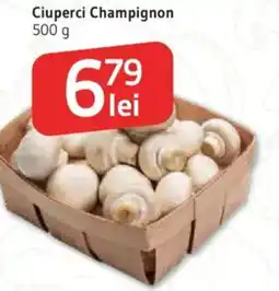Supeco Ciuperci Champignon Ofertă