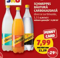 Penny Schweppes băutură carbogazoasă Ofertă