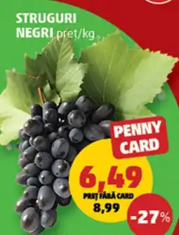 Penny Struguri negri Ofertă