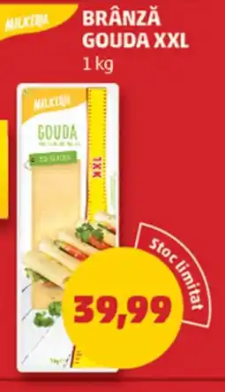 Penny Brânză gouda XXL Ofertă