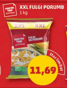 Penny XXL Fulgi porumb Ofertă