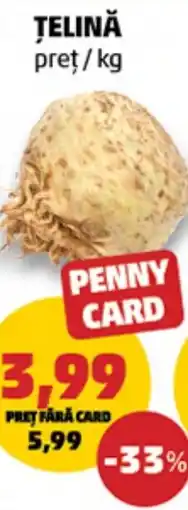 Penny Ţelină Ofertă