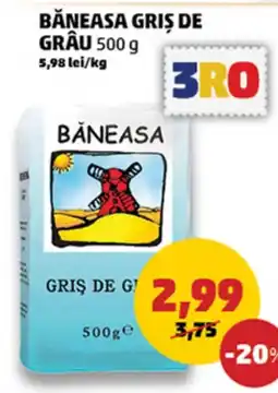 Penny Băneasa griş de grâu Ofertă