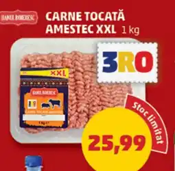 Penny Carne tocată amestec XXL Ofertă