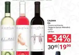 Selgros CALOIAN Vin Ofertă