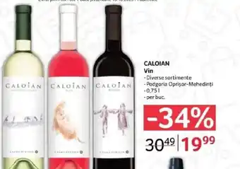 Selgros CALOIAN Vin Ofertă