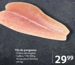 Selgros File de pangasius Ofertă