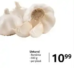 Selgros Usturoi Ofertă