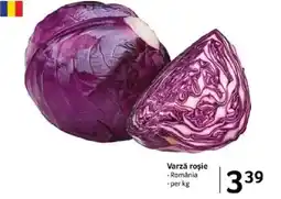 Selgros Varză roşie Ofertă